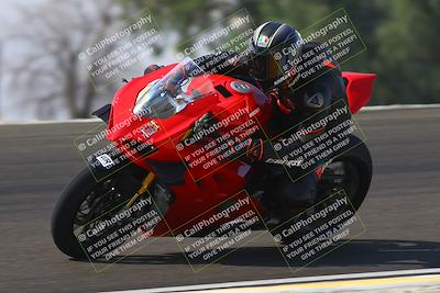 media/Sep-20-2025-TrackDaz (Sat) [[27f0cde673]]/A Group/11am (Turn 2)/